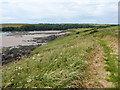 On the Pembrokeshire Coastal Path at Sandy Haven, Herbrandston in SA73 3SP