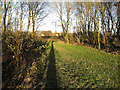 Path through Hill Crofts wood in CB21 5NX