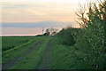 Farm track near Elton, Nottinghamshire in Cranmer Ward