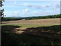 Farmland from the very edge of Bentley Wood in SP5 1PL