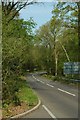 Road through woods in GU51 3JU