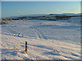 Tracks in the snow at Biallidbeg in PH20 1YB