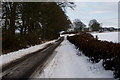 Road at Rosemount, Blairgowrie in PH10 6LT