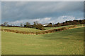 Pasture northeast of Tiltup's Wood, Barby in CV23 8TJ