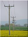 Electricity Poles, Field of Rape in TS15 0BG