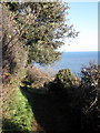 Bishop's Walk, Black Head, Torquay in TQ1 2PW