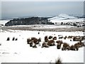 Snow on Tomgate Moor (view NW) in TS12 3LL