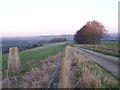 Trig point and track on Dean Hill in East Dean