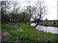 River Test at Bransbury Common in Harewood Ward