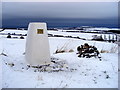 Cleveland Ironstone Miners' Memorial (ex-trig point) in TS12 3JY
