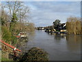 A crisp January morning on The Thames at Old Windsor in SL4 2JW