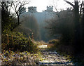 Footpath towards Framlingham Castle in Framlingham