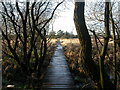 West Moors, boardwalk in BH22 0LP