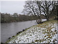 River North Tyne near Low Carry House in NE48 3PS