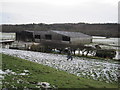 Farm Buildings near Low Carry House in NE48 3PS