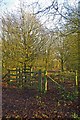 Mill Meadows Kissing Gate in CM12 9RG