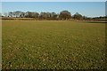 Farmland near Maple's Cross Farm in WR6 5LU