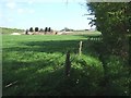 Footpath and Trumps Farm in GU25 4EA
