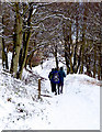 Walkers in the Snow on the Cleveland Way in YO13 0ES