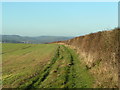 Farm track to Axmouth from the South West Coast Path in EX12 4AS