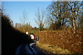 Wall on Isington Lane, Hampshire in GU34 4PJ