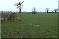 Farmland north-east of Walpole in IP19 0PJ