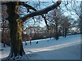 Chelsea Park, Brincliffe, Sheffield in January Snow in S7 2DN
