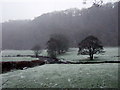 Afon Gwaun in winter in Cwm Gwaun Community