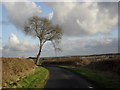 Bend in the road from Swinbrook to Asthall in OX18 4EE