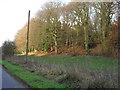 Woodland beside the road in OX29 9PR