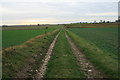 Farm track near Winterton in NR29 4DX