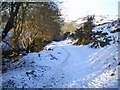 Footpath above Tan-y-foel in SY21 0EX