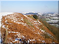 Escarpment and rock outcrop on the east side of Moel Bentyrch in SY21 0EY