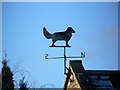 Weather vane, Wanstrow in BA4 4FN