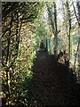 Footpath exiting Victoria Country Park in SO31 4RJ