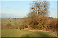 Looking north along the bridleway from Staverton to Braunston in NN11 6JS