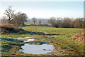 Ice on puddles north of Staverton in NN11 6JS
