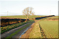 Approaching the bridleway junction north of Staverton in NN11 8NP