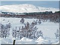 Meall Frur-mhonaidh across rough grazing beside converted School in IV2 6YS