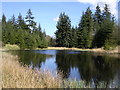 Loch in Clochcore Wood above Lennoxtown in G66 7LD