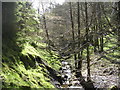 Baldow Glen, near Lennoxtown in G66 7LG