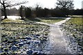 A very icy path in DE7 4EN