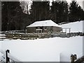 Sheep pens and Bothy, Newarkburn in TD7 5EU