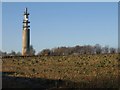 Radio station mast, Goose Green in GL12 7PX