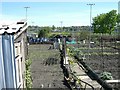 Allotment Gardens, Burslem in ST6 4LD