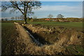Ditch near Gannow Farm in B96 6ST