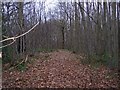 Footpath to Buckholt Wood in CT4 5RY