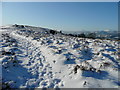 Wintery path to Garway summit in HR2 0DE