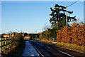 Looking Towards Isington Road, Hampshire in GU34 4PR