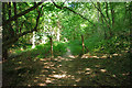 Private to public woodland in TN22 3RN